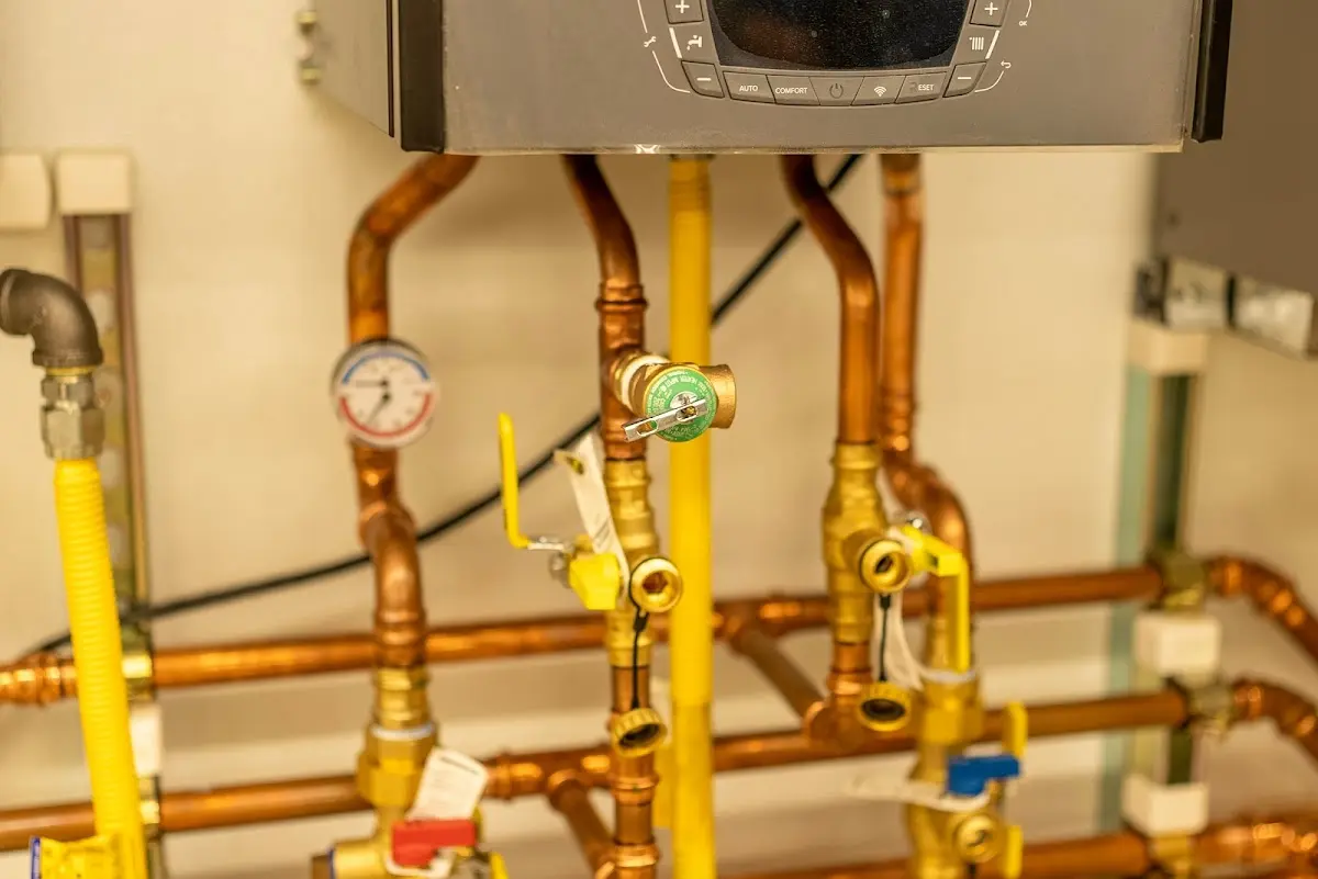 Licensed technician providing Emergency Plumbing for a homeowner in Raymond